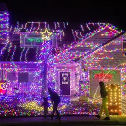 vedhahi 50 LEDs 15 m Multicolor Flickering, Color Changing Bulb Rice Lights image 5