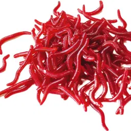 vasadigital Plug Silicone Fishing Lure image 1