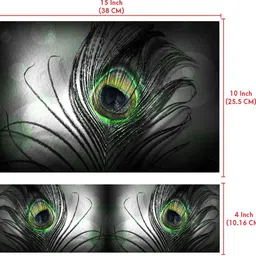 Techfit HD Printed Easy to Install Full Panel Laptop Skin/Sticker/Stretchable Vinyl/Cover for all Size Laptops upto 15.6 inch No Residue, Bubble Free - Black Feather Self Adhesive Vinyl Laptop Skin Compatible for 15.6 inch image 3