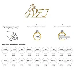 Vighnaharta Rhodium-Plated Cubic Zirconia-Studded Finger Ring With Rose Box image 5