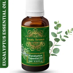 exotic aromas Eucalyptus Essential Oil, 100% Pure and Natural, For Aromatherapy , Skin & Hair-picture-17