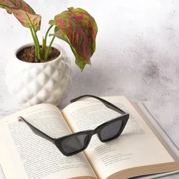 HAUTE SAUCE by Campus Sutra Women Grey Lens & Black Butterfly Sunglasses with UV Protected Lens-image-54