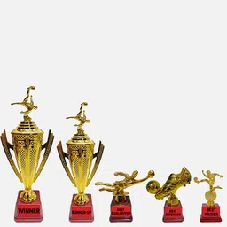 bareezé pure Trophy For Winner, Runnerup, Best Goalkeeper, BestDefender, Best Raider Football Trophy-picture-11