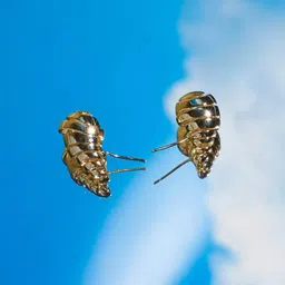 SALTY Gold-Plated Contemporary Stud Earrings-picture-21