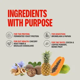 superyou Pro Fermented Yeast Protein(Pack of 8)|24g Protein|Chocolate 288g Protein Blends image 4