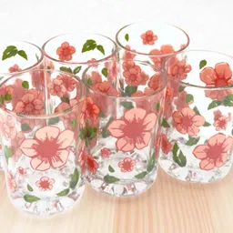 crockware (Pack of 6) CRKWR_6PCS_gls_Florist-19_HH07 Glass Water/Juice Glass-picture-26