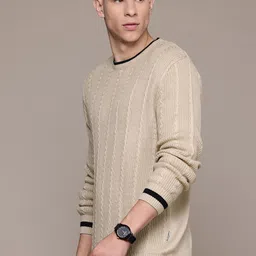roadster Men Self Design Round Neck Beige Sweater image 4