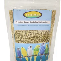 mistletoe Product Budgie, Finch, Love Bird Premium Foxtail millets Bird Food Kangani Seed 0.5 kg Dry Young, Adult Bird Food-picture-28