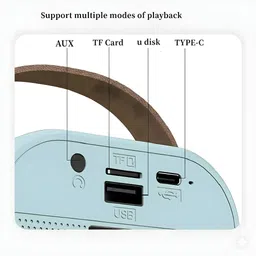 playhubkidzp Karaoke Mic Bluetooth Speaker with Wireless Mics & Colorful Lights Microphone image 4