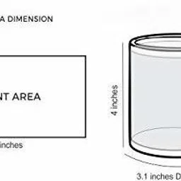 trendoprint Printed Papa & Mummy Couple Coffee Cup (11oz) (Fm-140) Ceramic Coffee Mug image 3