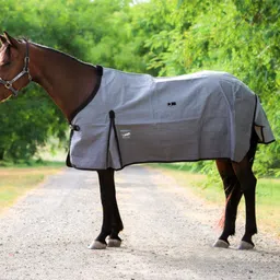 blessing pet product Horse Blanket image 1
