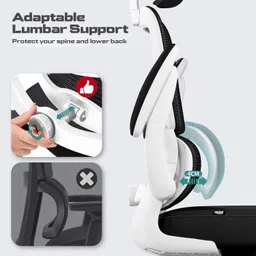 drogo Ergonomic Office Chair/Computer Chair with Adjustable headrest & Lumbar support Mesh Office Adjustable Arm Chair image 4