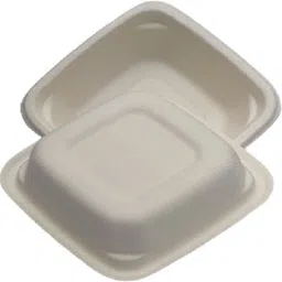 pagal mindset Sugarcane Bagasse Vegetable Bowl Disposable 4 inch Square Bowl | Sugarcane Bowls/Bagasse Bowls | Plant Pulp Disposable image 2