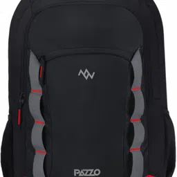 pazzo Large 48 L Laptop Backpack 3 Compartment Office/College/15.6 inch padded Laptop Bag with internal organiser-picture-23