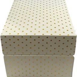 xfox Fancy watch case Watch Box image 3