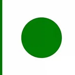 vestige Noni 90 Capsule (1 Items in the set) image 2