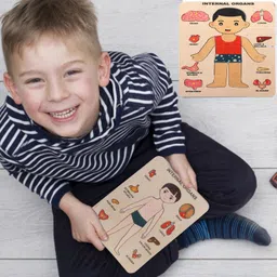 buy surety Montessori Wooden Human Body Internal Anatomy Organs Puzzle Inside Body Part Toy image 4