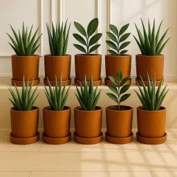 the handicraftian 10 Pcs Red Terracotta 4 Inchs Planters image 4