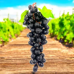 zarsaaa Artificial Grapes Black Color (Pack of 1) Artificial Fruit image 4