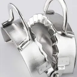 vashishth Dumpling Press image 5