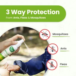 mother sparsh Natural Insect Repellent for Babies, Herbal Armor, 100% Protection from Mosquitoes, Fleas and Ants image 3