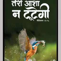 Plastic Wall Photo Frame-image-2