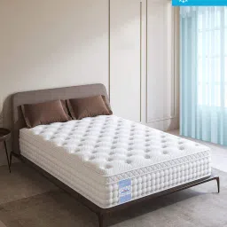 springtek EuroTop Luxe Memory Foam Medium Soft 6 Inch Pocket Spring Mattress In Single Size image 1