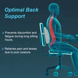 tynor Elite Lumbo Back Rest, Black, Universal Size, 1 Unit Back / Lumbar Support image 2