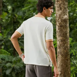 campus sutra Men Solid Polo Neck Cotton Blend Multicolor T-Shirt image 3