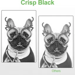 DR CARTRIDGE POINT CF247A Toner Cartridge Black Ink Cartridge image 5