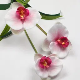 casacraft from pepperfry Pink Polyester Stunning Light Orchid Flower Artificial Flowers image 3