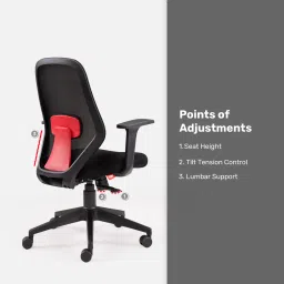durian Synergy Breathable Mesh Ergonomic Chair In Black Colour image 3