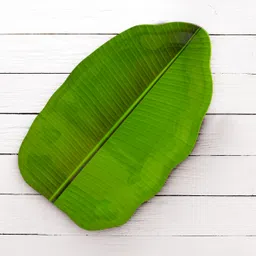 litware Melamine Banana leaf Serving tray snakes (Size-14" X 8.75" Inch) kela patta Tray image 2