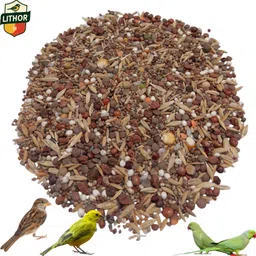 lithor Homemade All bird food Mix Millets & Grains,Nuts 900g 0.9 kg Dry Adult, New Born, Senior, Young Bird Food-picture-14