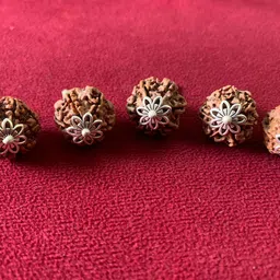 rudraksham 6 Mukhi Nepali Rudraksha Pendant With Certificate Of Authenticity (Set of 5) Silver Brass Locket Set-picture-35