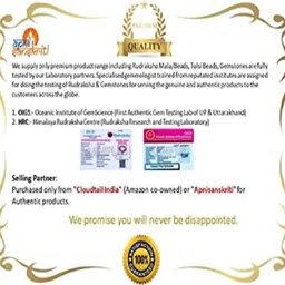 apnisanskriti Lal Chandan Mala (Red Sandalwood Rosary) for Japa and Men & Women Wood Chain image 2