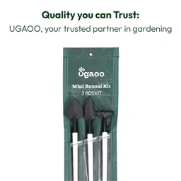 ugaoo Mini Garden Bonsai Set image 4