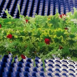 dynamic retail global Artificial Hanging Flowers Plant Wall Hanging Garland Chain Home Decor BJ7 Multicolor Rose Artificial Flower image 2