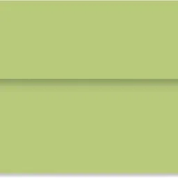 mehta envelope mfg co Lemon Green 22.22 x 14.6 cm ( 8.75" x 5.75") 120 GSM Envelopes-picture-43
