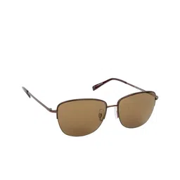 Scavin Women Brown Lens & Brown Sunglasses with UV Protected Lens-picture-23