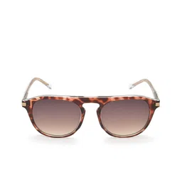 IDEE Men Brown Lens & Brown Oval Sunglasses with UV Protected Lens image 4