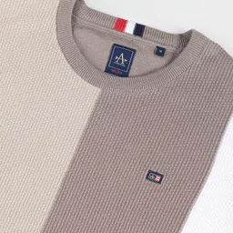 arrow sport Men Colorblock Crew Neck Brown Sweater image 3