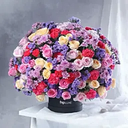 Vibrant Blooms Ensemble-picture-44