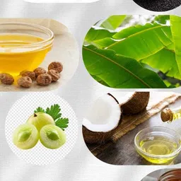 ma earth soul Ayurvedic, Moringa Hair Oil image 3