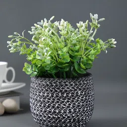 TAYHAA Black & White Textured Ceramic Planter-picture-16