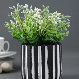 TAYHAA Black & White Linear Design Ceramic Planter-picture-13