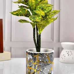 TAYHAA Black & Yellow Abstract Printed Ceramic Planter-picture-36