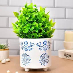 TAYHAA White Blue Printed Ceramic Planter-picture-30