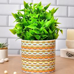 TAYHAA Yellow & Green Abstract Printed Ceramic Planter-picture-29