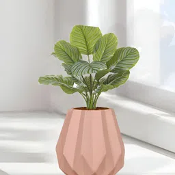 LASAKI Pink Textured Ceramic Planter-picture-36